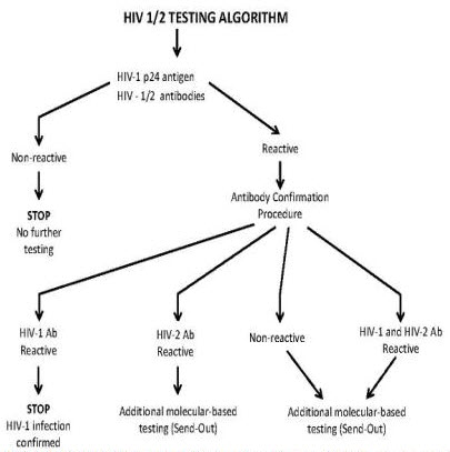 HIV 1-2 TESTING ALGORITHM